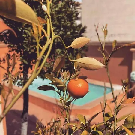 Antonia Villa Calvi (Corsica)