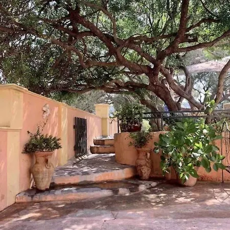 Antonia * Calvi (Corsica)