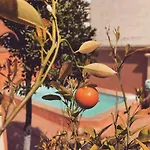 Antonia Βίλα Καλβί