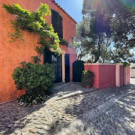 Antonia Calvi (Corsica)