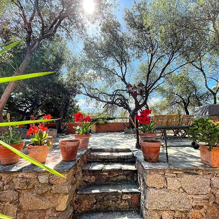 Antonia * Calvi (Corsica)