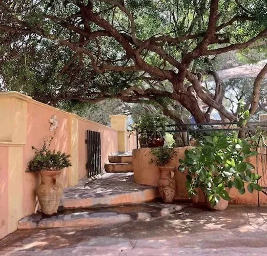 Antonia * Calvi (Corsica)
