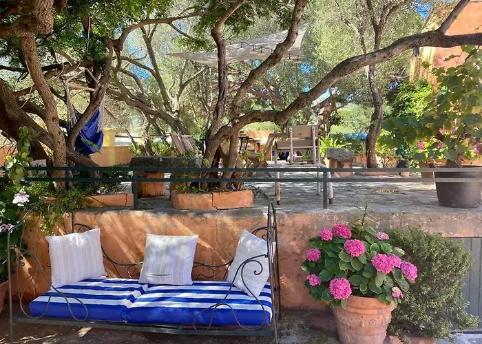 Antonia Calvi (Corsica)